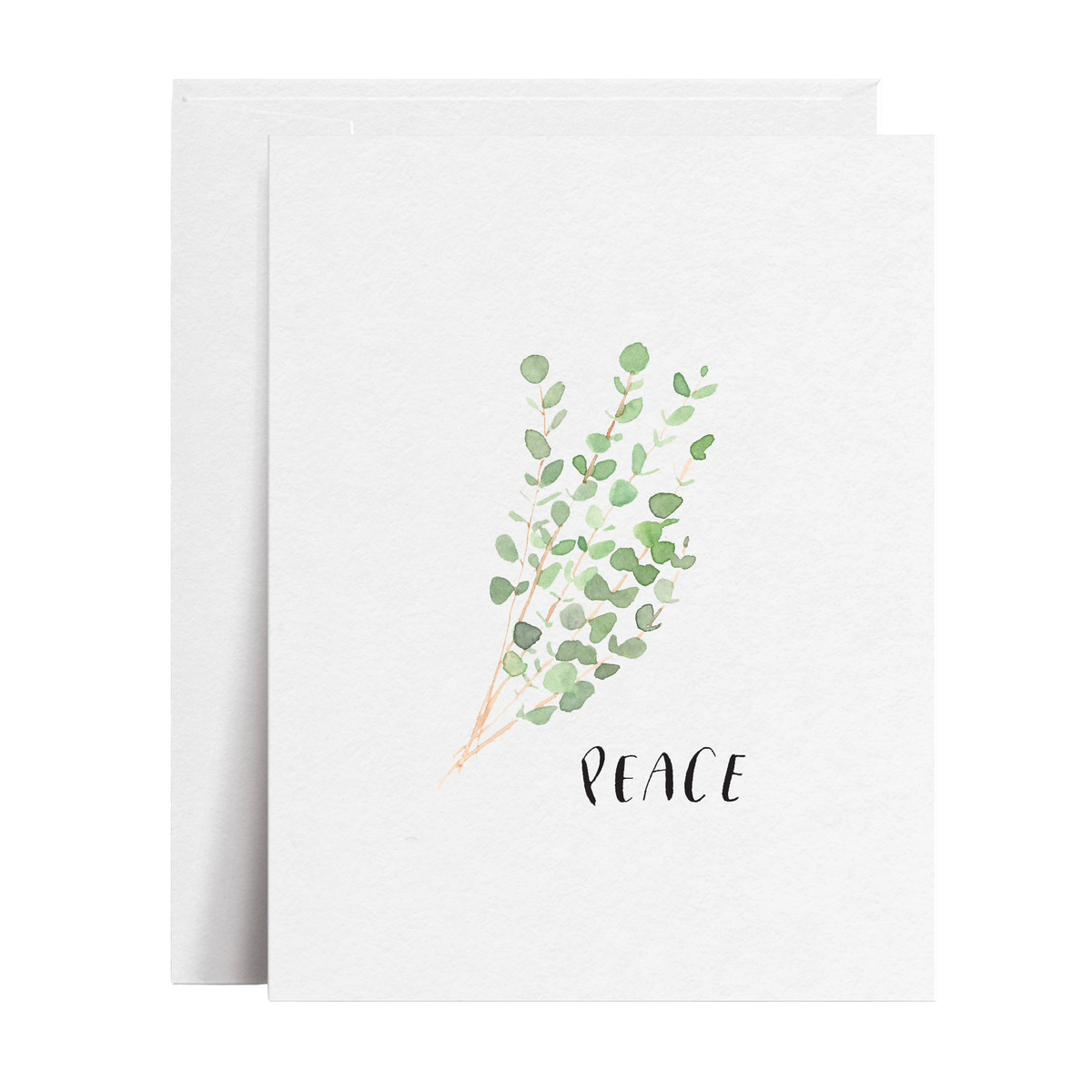 Eucalyptus Peace